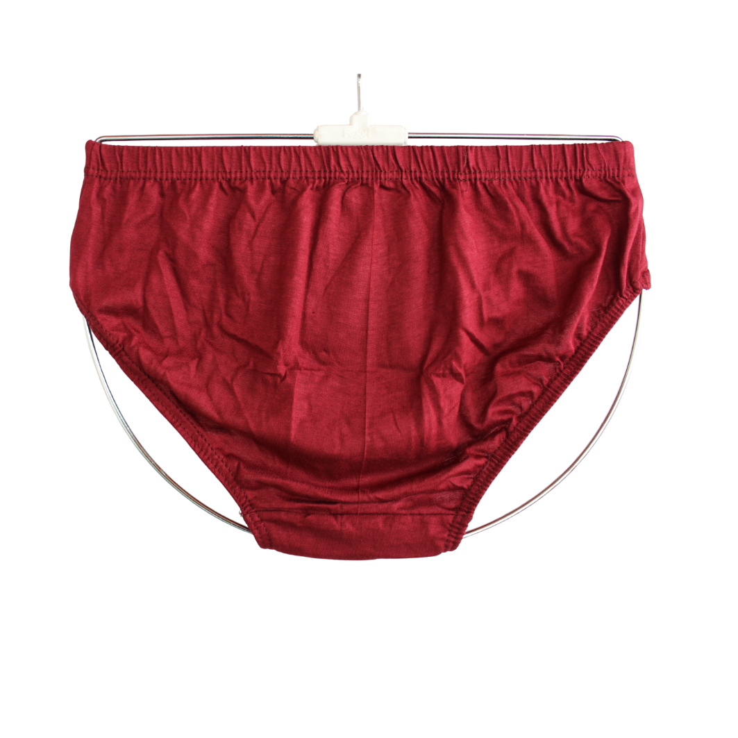 SLG LADIES PANTIES PLAIN ( Pack of 10 ) ( 5 Colors x 2 )