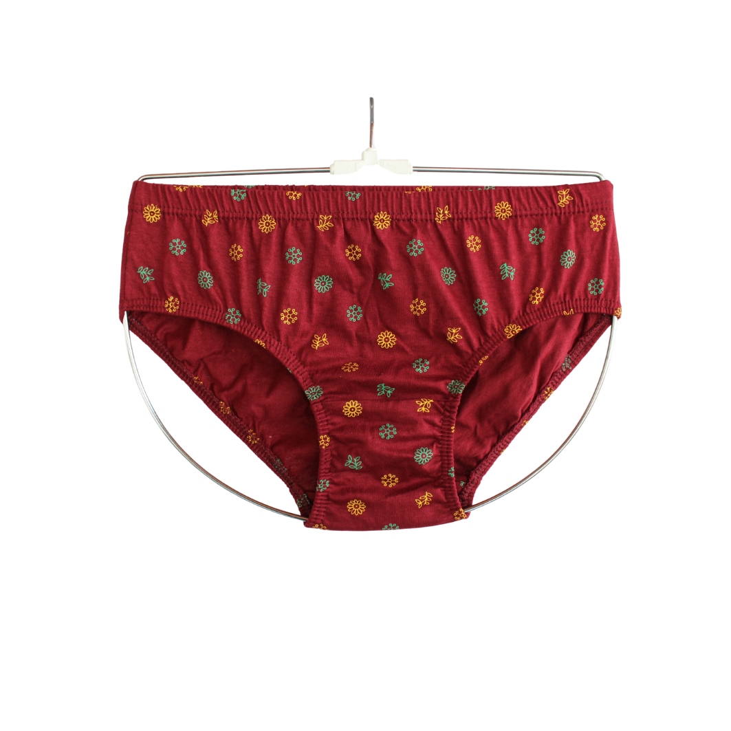 SLG LADIES PANTIES PRINT ( Pack of 10 ) ( 5 Colors x 2 )