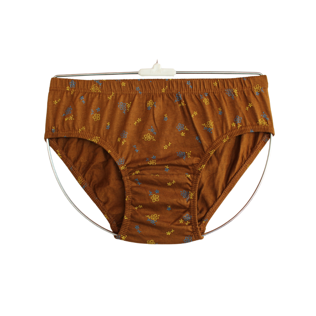 SLG LADIES PANTIES PRINT ( Pack of 10 ) ( 5 Colors x 2 )