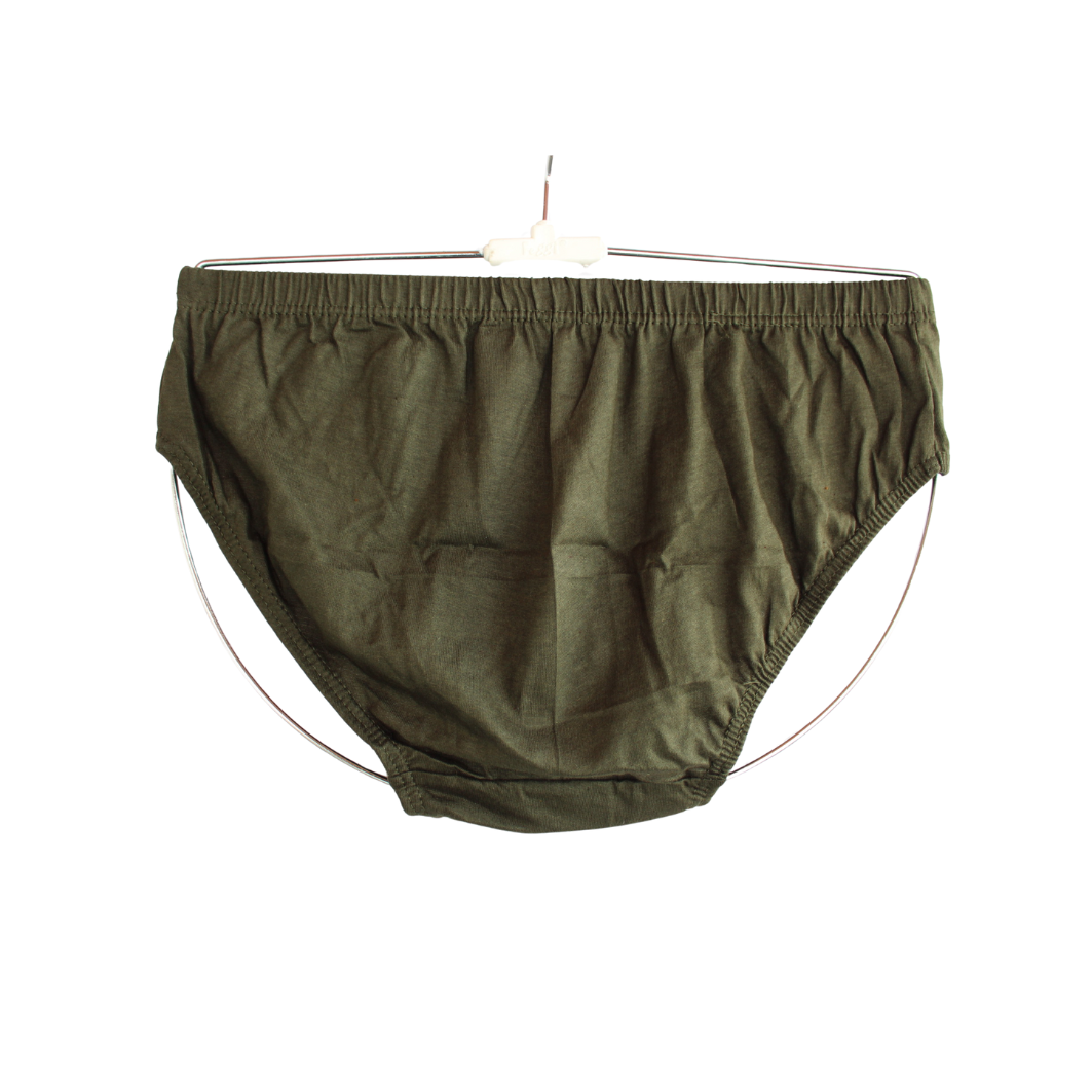 SLG LADIES PANTIES PLAIN ( Pack of 10 ) ( 5 Colors x 2 )