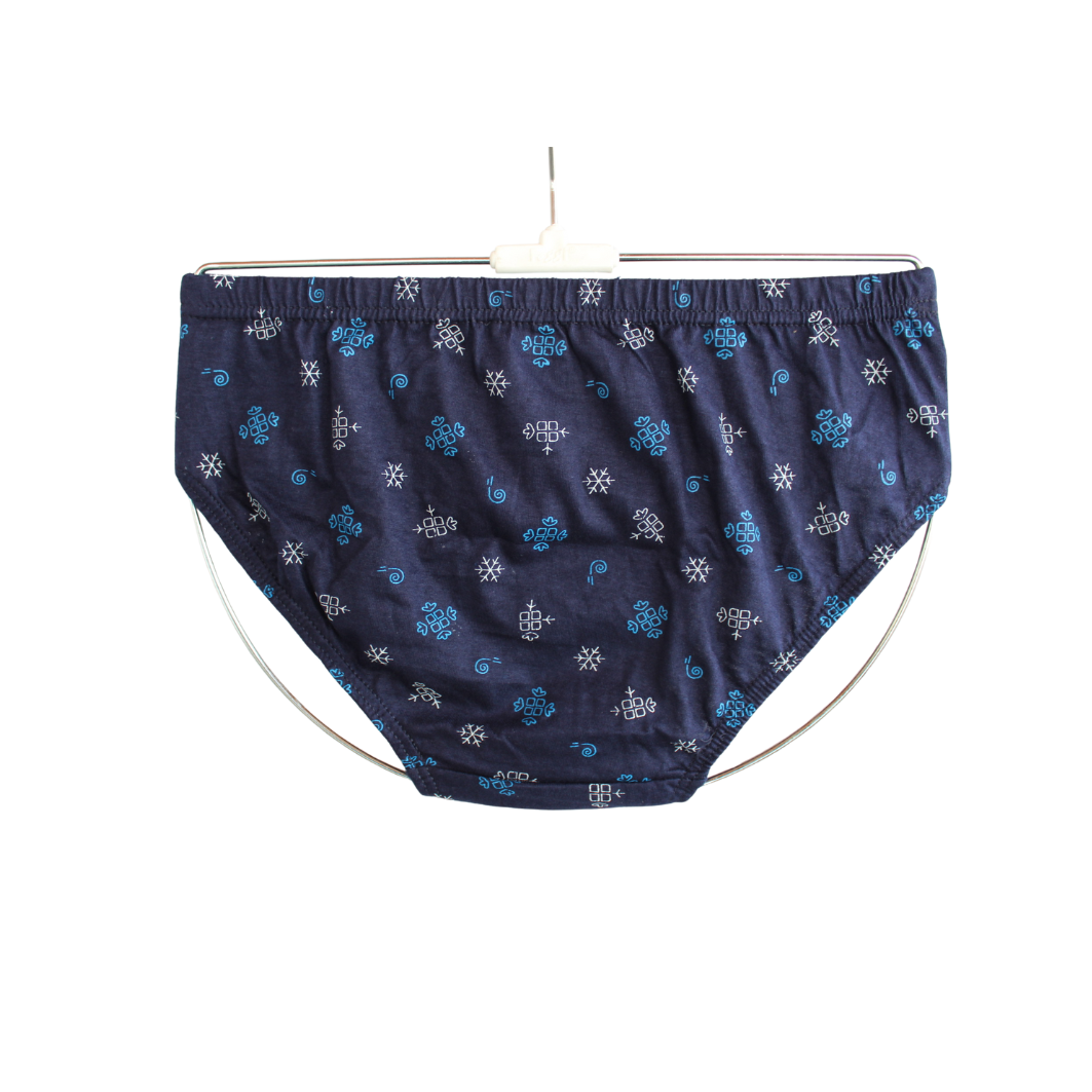 SLG LADIES PANTIES PRINT ( Pack of 10 ) ( 5 Colors x 2 )