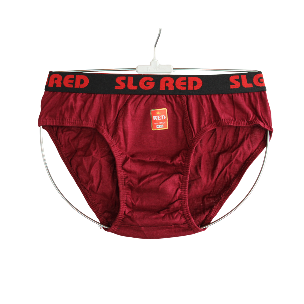 SLG RED BRIEF  ( Pack of 10 ) ( 5 Colors x 2 )