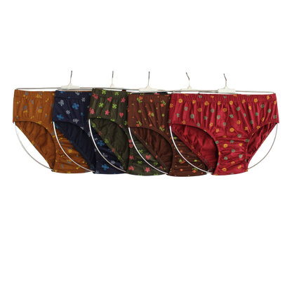 SLG LADIES PANTIES PRINT  ( Pack of 10 ) ( 5 Colors x 2 )