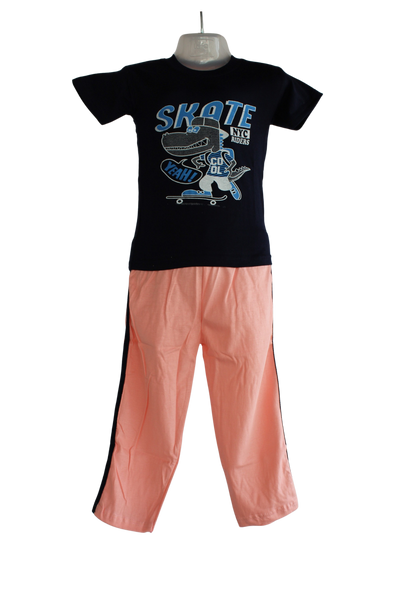 Mahi Boys Set ( T-Shirt and  Pant ) ( Pack of 6 )