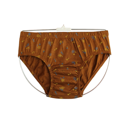 SLG LADIES PANTIES PRINT  ( Pack of 10 ) ( 5 Colors x 2 )