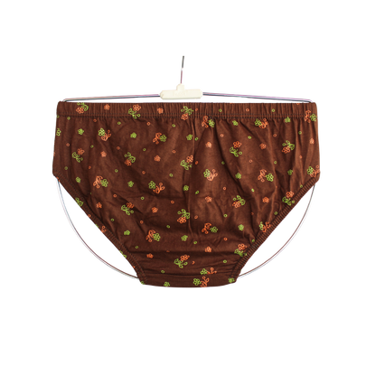 SLG LADIES PANTIES PRINT  ( Pack of 10 ) ( 5 Colors x 2 )