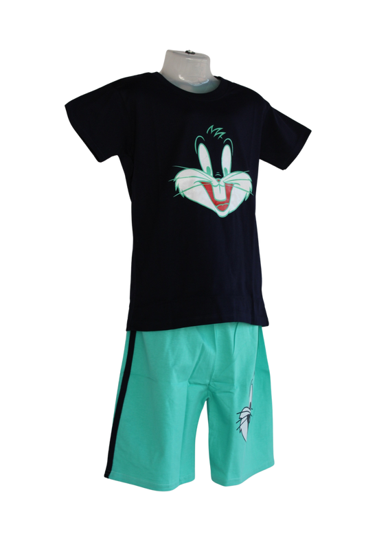 Mahi Boys Set (T-Shirt and Shorts ) ( Pack of 6 )